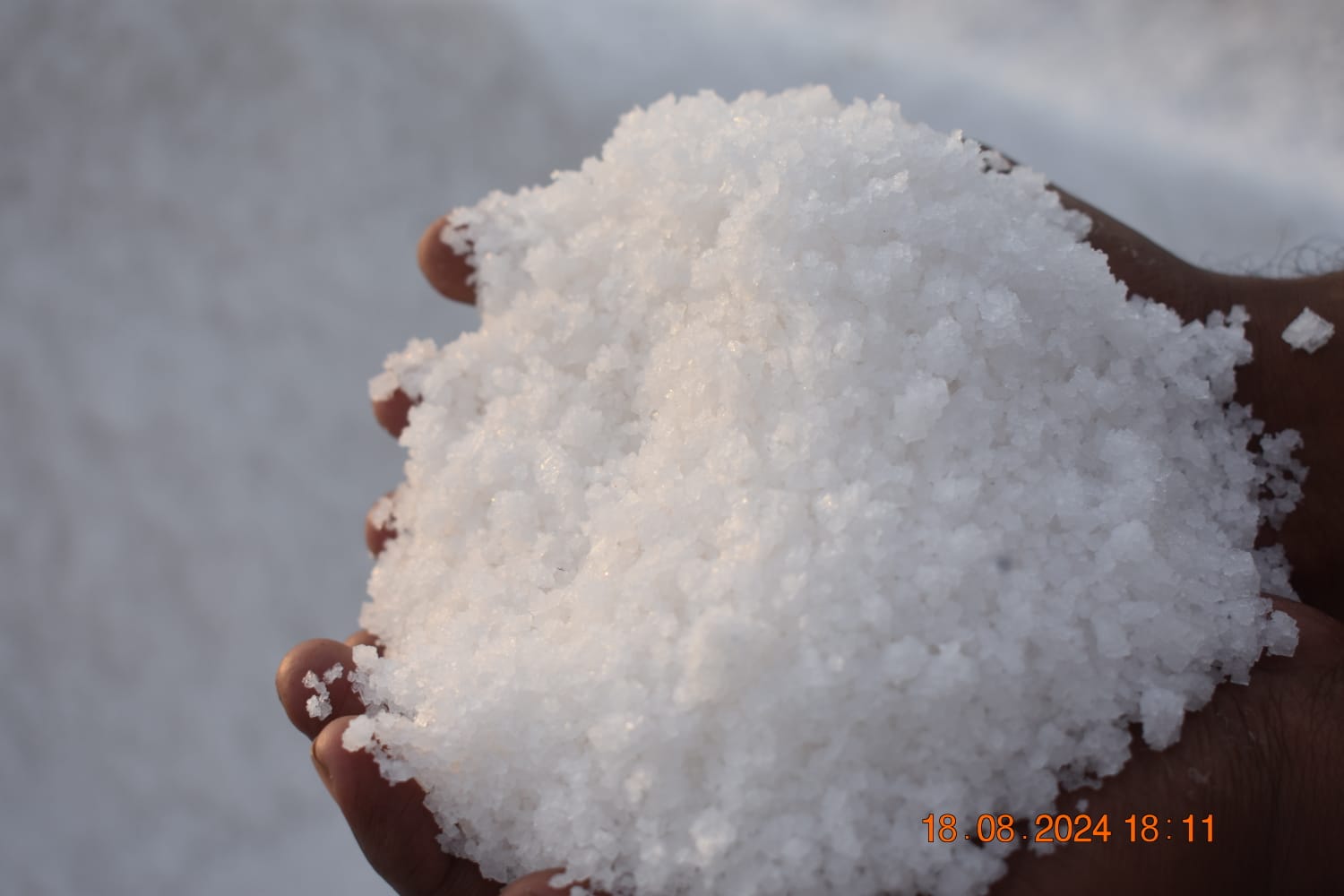 Salt Processing